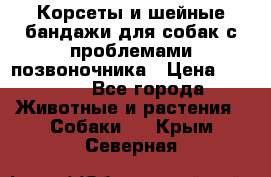 Корсеты и шейные бандажи для собак с проблемами позвоночника › Цена ­ 2 500 - Все города Животные и растения » Собаки   . Крым,Северная